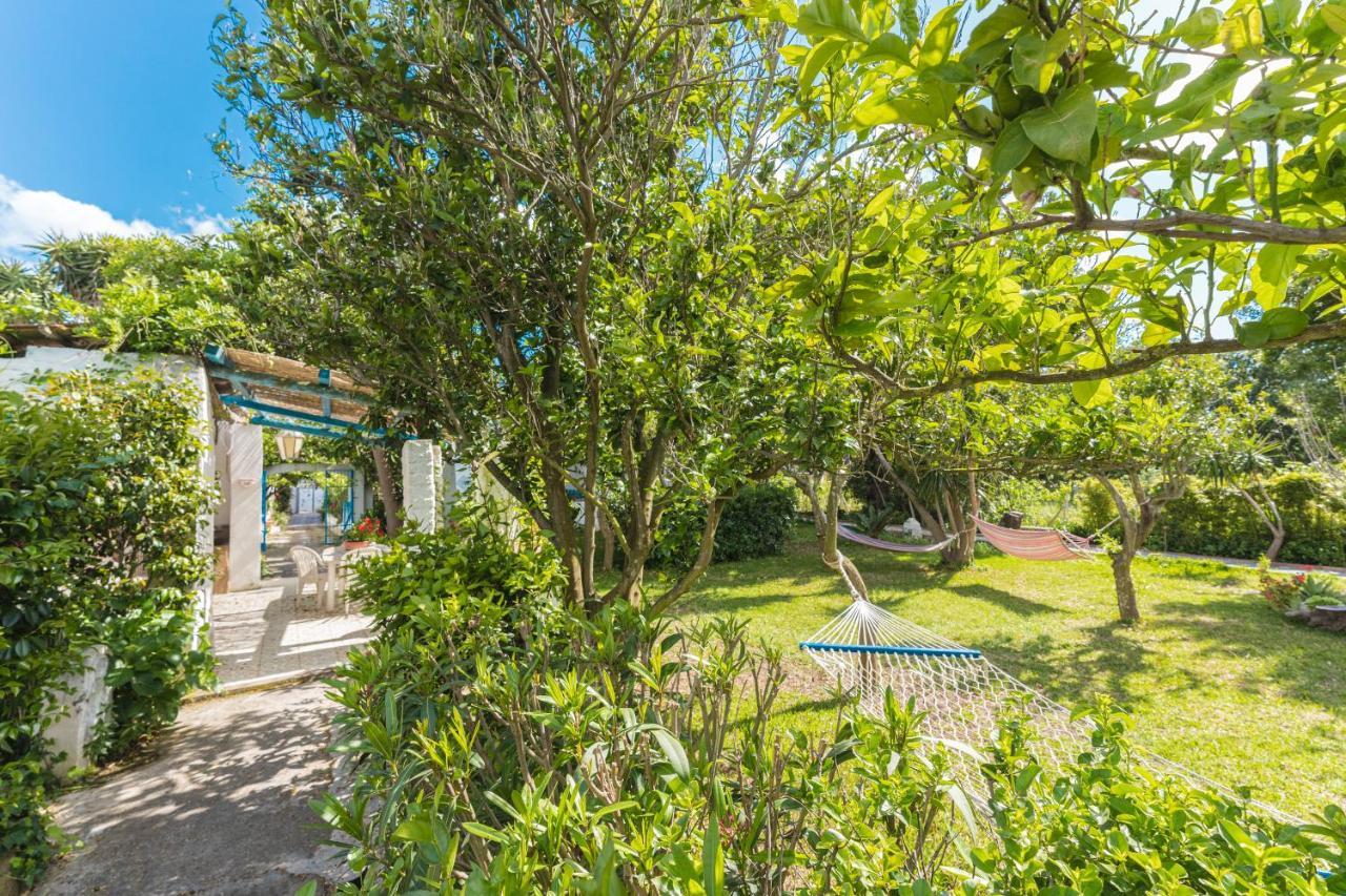 Le Querce Villa Procida Eksteriør billede