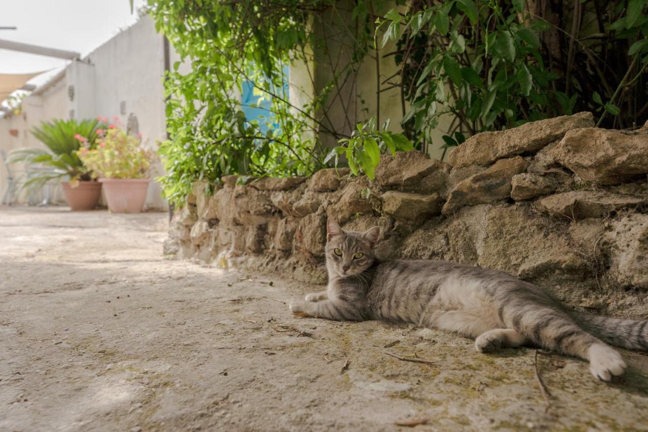 Le Querce Villa Procida Eksteriør billede