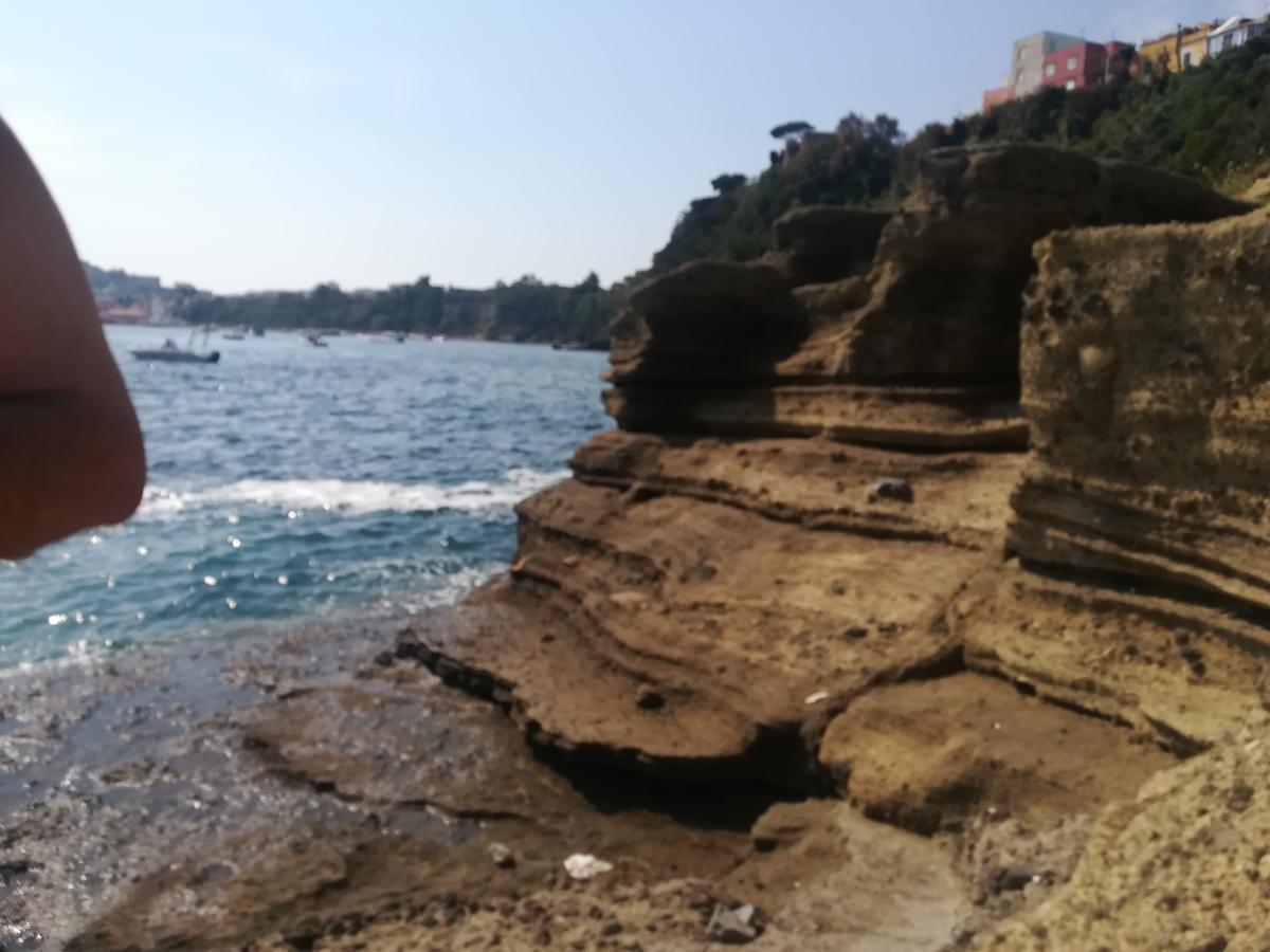Le Querce Villa Procida Eksteriør billede