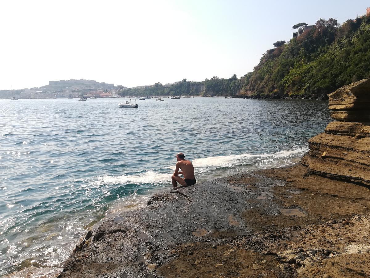 Le Querce Villa Procida Eksteriør billede