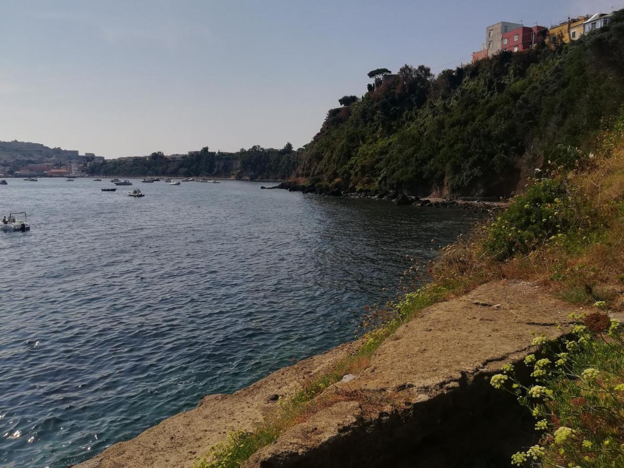 Le Querce Villa Procida Eksteriør billede