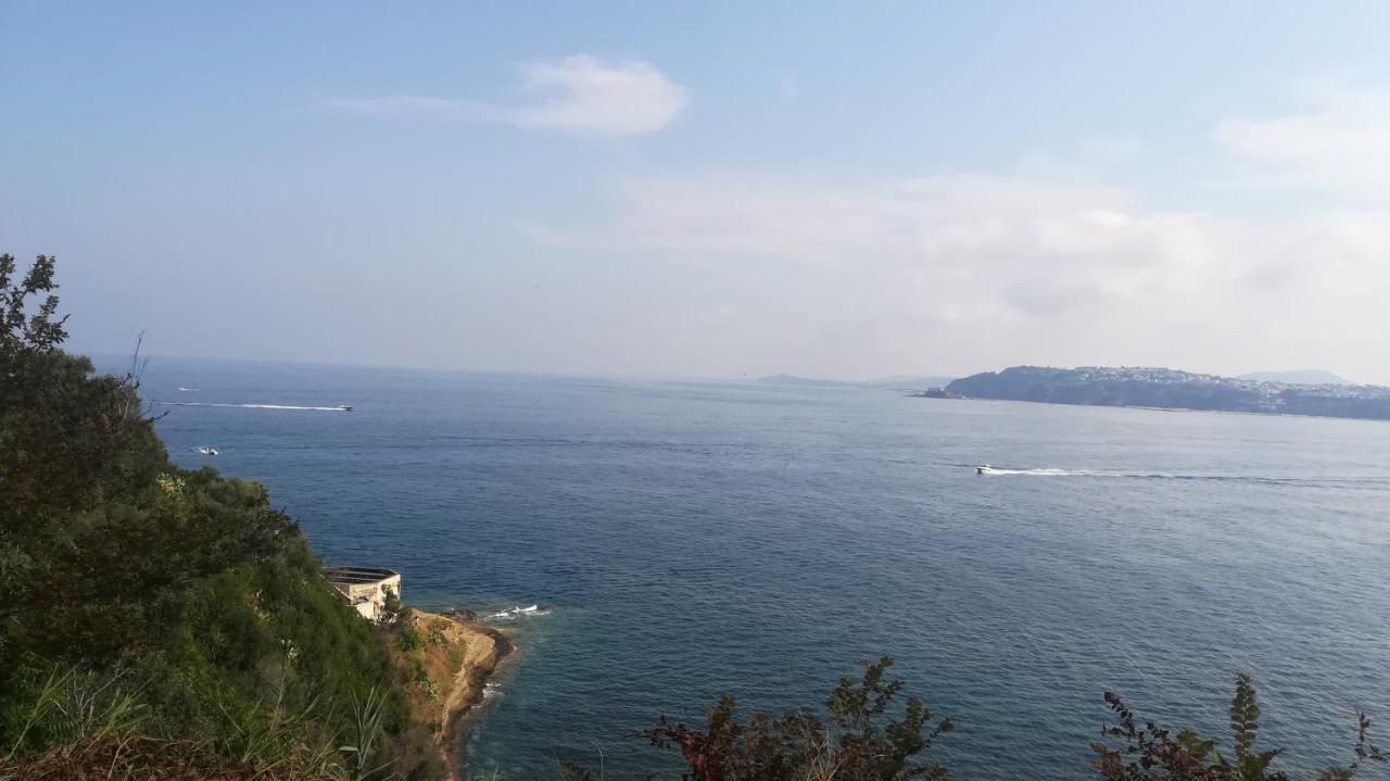 Le Querce Villa Procida Eksteriør billede
