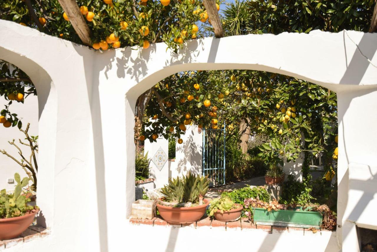 Le Querce Villa Procida Eksteriør billede