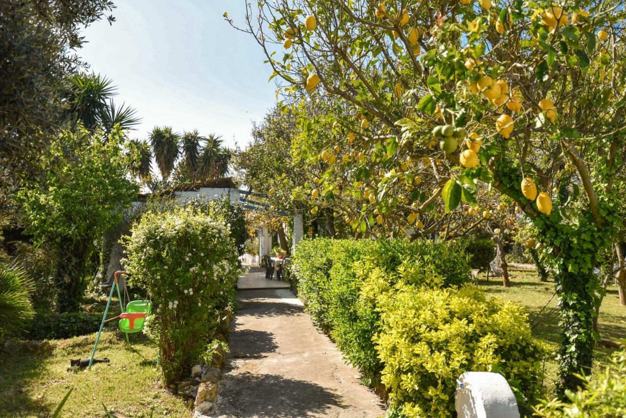 Le Querce Villa Procida Eksteriør billede
