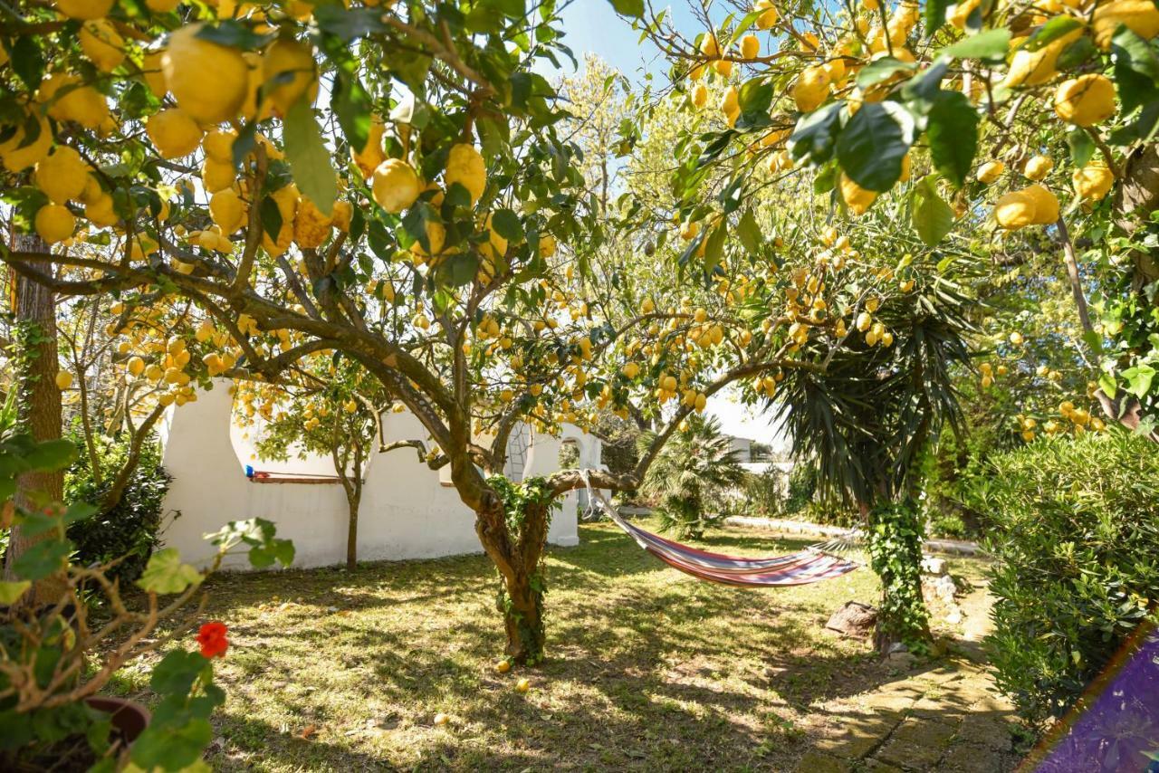 Le Querce Villa Procida Eksteriør billede