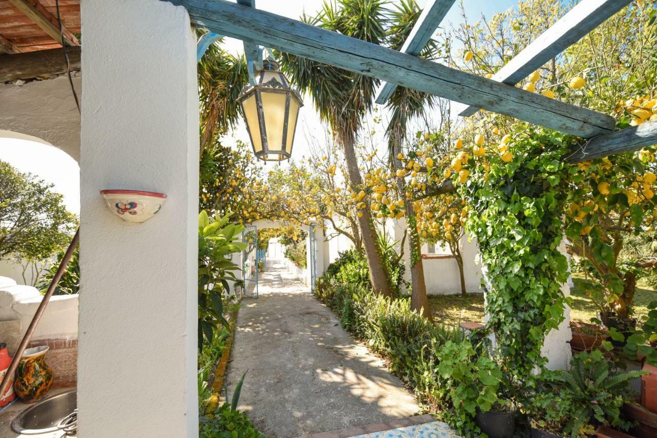 Le Querce Villa Procida Eksteriør billede